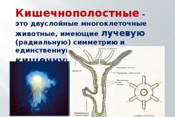 Найдется все kraken 2krn cc