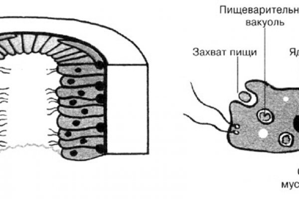 Кракен рабочая ссылка