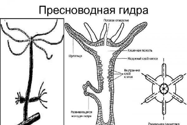 Как попасть на кракен