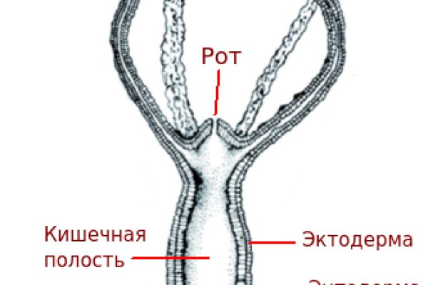 Кракен настоящий сайт